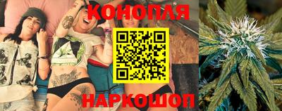 ПСИЛОЦИБИНОВЫЕ ГРИБЫ Новозыбков
