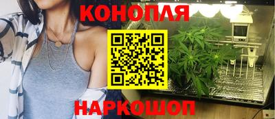 ПСИЛОЦИБИНОВЫЕ ГРИБЫ Новозыбков
