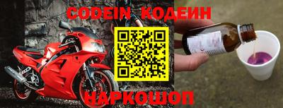 прущие грибы Новодвинск