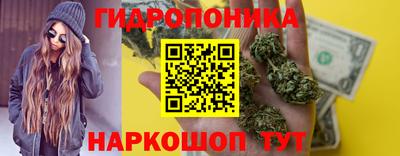 прущие грибы Новодвинск