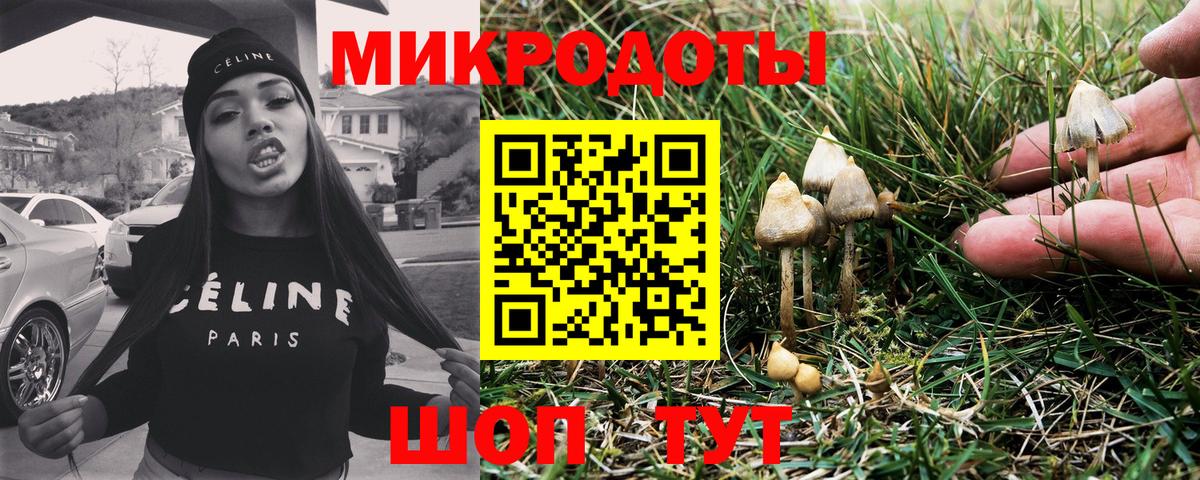 наркошоп  Псилоцибиновые грибы Psilocybe  Вход с VPN  Сунжа 