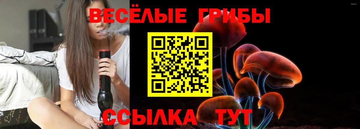 Псилоцибиновые грибы Magic Shrooms Сунжа
